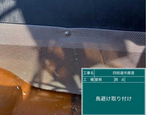四街道市の外壁塗装鳥避けの取り付けの写真